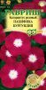 Катарантус Пацифика Бургундия GSH 5шт (Одн)®