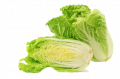 Капуста Пекинская, Китайская, Брюссельская, Савой